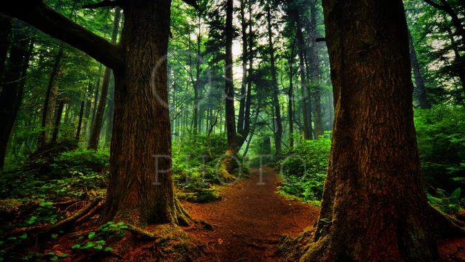 watermarked photo